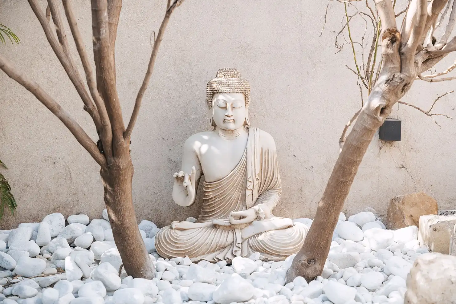 sandra-martinez-estudio-de-pilates-006